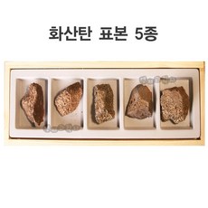 영재과학 교과서암석표본 암석표본 변성암 화성암 퇴적암 10종 실험용 과학실험, H 화산탄표본 5종