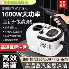 110V高壓蒸汽清潔機-小型家用油煙機空調廚房去油汙消毒清洗機, 白色款 2500W,欧规220V, 白色款 2500W