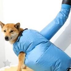 반려견 목욕 후 건조 드라이기 착용 의류 강아지 털 흡수 건조복 애견 드라이룸, 1개, XL(20kg-40kg)