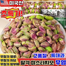피스타치오 무염 탈각 피스타치오 구운 피스타치오 껍질없는 피스타치오 피스타치오 견과류 깐 피스타치오 피스타치오 분태 두바이 쫀득쿠키 재료, 1개, 250g