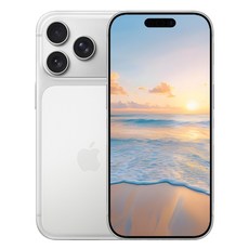 아E폰 17 프로 맥스 새상품 미개봉, 256GB, 아이폰 17 Pro Max Silver
