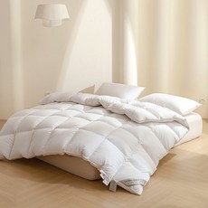 호텔이불 구스다운 한파 겨울용 침구 코튼 더블 레이어 이불 쉘 자체 충전 벨벳 호텔구스이불, H. 흰색(160수 클린 2중)