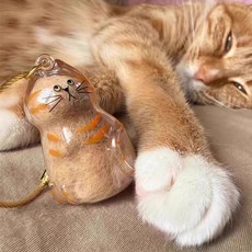 투명 반려동물 고양이 털 뭉치 보관 캡슐 키링 zli+07370KV