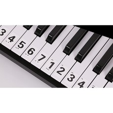 鋼琴鍵盤貼紙 適用88/61/54/49鍵 電子琴音階標示貼, 1個, 白底黑字, 白底黑字