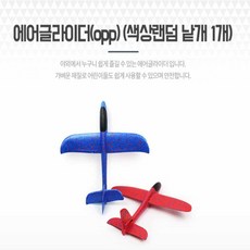 회전 비행가능한 에어글라이더 46x47.5cm 랜덤1개 신나는놀이 모형비행기 신기한과학 아이들선물