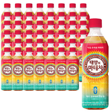 태양의 마테차, 500ml, 48개