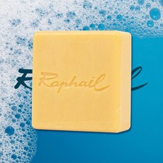 화장실 비누 위생청결 라파엘 욕실 세정 붓세척 27638ea 1(pc)