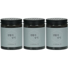 생활의상식 비즈 냄새제거 실내 탈취제, 250g, 3개