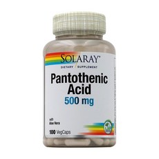 솔라레이 판토세닉 애시드 500mg 베지캡, 100정, 1개