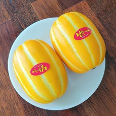 성주 꿀 참외 겨울참외 성주참외 맛있는 참외 선물 하우스참외, 1개, 1kg 랜덤 정품