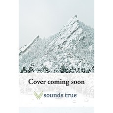 (영문도서) Dream Wise Hardcover, Sounds True, English, 9781649631206