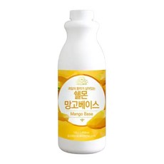 VMB 쉘몬 과일 농축액 베이스 망고 1kg카페용 음료용 에이드용 용음료, 1kg