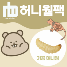 엔비 허니웜팩 가공 왁스웜 파충류 햄스터 고슴도치 먹이, 5개, 1g