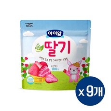 아이얌 동결건조 과일칩 순딸기, 12g, 9개