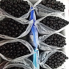 특품 꼭지제거 햇 아로니아 냉동생과 3kg 5kg 10kg 에어세척후 1kg씩포장, 1박스