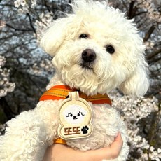 펫스츄리 강아지 반려동물 커스텀 네임택 캐릭터 이름표 자수 인식표 멍찰, 1개, 그린