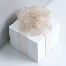 리본리에 무지 오간디 리본 끈, 25mm(50yd), 17.베이지색