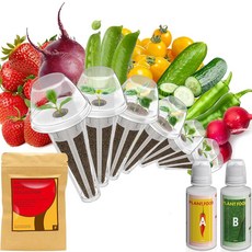 에어로가든 아호페가든 가든큐브 MUFGA 수경 재배 시스템용 인블룸 과일 씨앗 포드 키트 50팟 350개 이상의 씨앗에는 딸기 토마토 오이 완두콩 루비 비트 포함, 7-pod, Mixed Lettuce