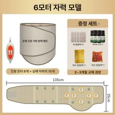 원적외선 진동 허리 벨트 온열 마사지 진정기 슬리밍 뷰티, 6모터 마그네틱 2개소포장 +, 기본 모델명/품번