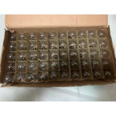 全亞 E17 國民燈泡 大圓頭 120V 適用110V電壓 40W 鎢絲燈泡 精油燈泡 電燈泡【全新現貨】, 1個