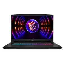 MSI 2025 스워드 GF76 17.3 코어i7 인텔 13세대 지포스 RTX 3050, PURE 블랙, 1TB, 8GB, WIN11 Pro, B13udxk/generation