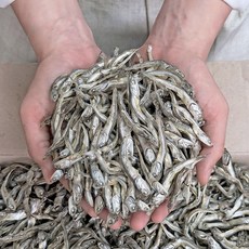 [백송식품] 특상급 국산 햇 고바멸치 안주 조림용 고추장멸치, 1개, 100g