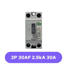 동양탑 분전반용 배선차단기 32DBCb 2P 30AF, 30A, 1개