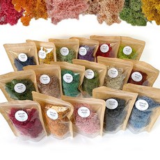 토단 하비 스칸디아모스 30g 12색중 택1 국내생산 친환경모스 공기정화식물 천연이끼 실내식물 인테리어 식물, 1개, 12. 퍼플