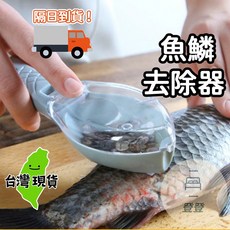 刮魚鱗器 附蓋 廚房料理好幫手, 1個