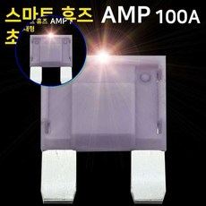 쌍문상회 지금 필요한 자동차퓨즈 스마트휴즈 퓨즈 자동차휴즈 휴즈 아트만 퓨즈100A 특허 AMP LED 초대형휴즈 초대형퓨즈 초대형 31872EA, 본상품