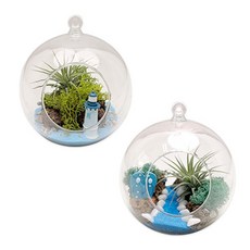 (TD) 여름 풍경 테라리움 만들기, 바다풍경