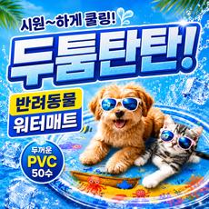 트렌디픽 강아지 고양이 두꺼운 워터매트 물매트 쿨매트, 1개, 블루
