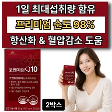 하이퍼셀 코엔자임q10 식약청 인증 10옵션 증정 /프리미엄 코엔자임큐텐10 코큐텐 대용량, 2박스, 60캡슐