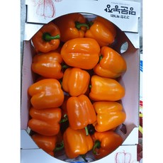 주황파프리카 오렌지파프리카 1kg, 1개입, 1개
