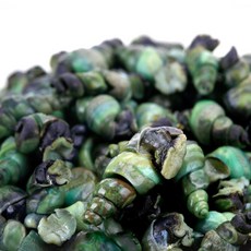 산지청정 동강1급수 자연산 다슬기 깐다슬기 올갱이, 1세트, 200g