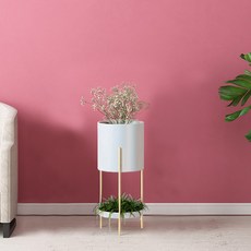 에버하우스 모던 베이직 파스텔 화분렉 S, 화이트, 2단