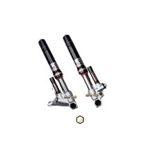 RPM GII LS 頂級氣瓶倒叉 輻射款 機車避震器 適用勁戰 三代 四代 六代 SMAX FORCE, 1個