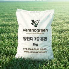 천연잔디씨앗 양잔디혼합종자 1kg (약10평) 원예 산소 전원주택 마당, 1개