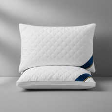 아이너리 푹신한 고중량 5성급 호텔 베개, 2개, 화이트