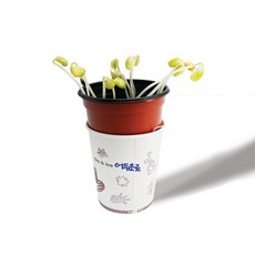 콩나물 기르기 ( 10인세트 ), 1개