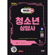 문두식 2024 SD에듀 기출이 답이다 청소년상담사 1급 한권으로 끝내기, 시대고시기획 시대교육