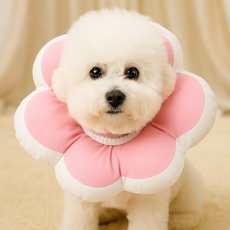 드림베이스 강아지 고양이 넥카라 수술 보호대 부드러운 솜쿠션, 핑크꽃, 1개