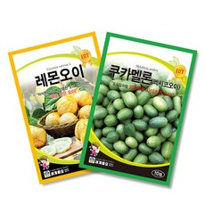 이색씨앗 레몬오이+쿠카멜론 세트 미니상토증정, 1개