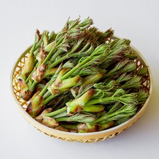 제철나물 진하고 향긋한 봄의맛 참두릅, 1세트, 1kg
