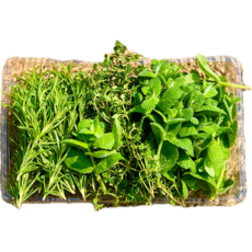 유기농 허브모둠생잎 카페용 데코용 가니쉬, 로즈마리20g+레몬타임20g+애플민트20g(모히또용), 60g, 1개