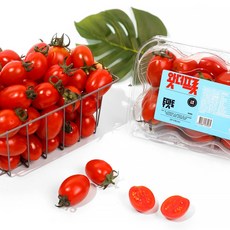 [달찐과일] 스테비아 방울토마토 스테비아/망고향/자몽향 500g 외 택1, 1개