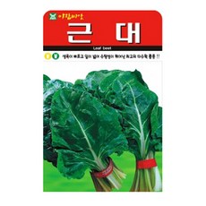 저스틴앤클로이 근대500립 채소잎, 1개