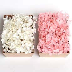 화연양화 톤온톤 박스 수국 2개입 프리저브드플라워 시들지않는생화, 02 화이트핑크