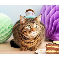 반려동물 생일케이크 머리띠 머리정리 장식 민트