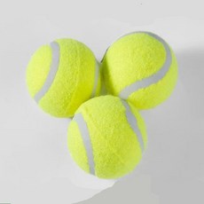 내손안의몰 테니스공 3P 연습공